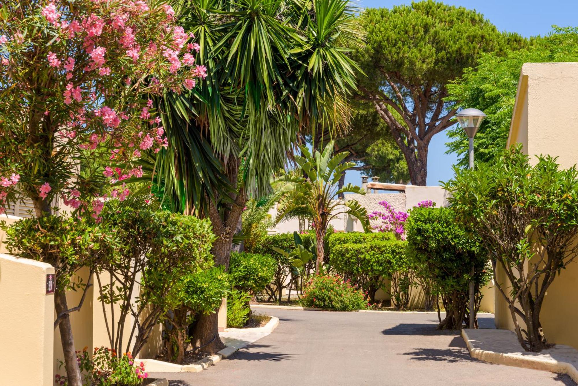 Residence San Pellegrino Folelli Εξωτερικό φωτογραφία